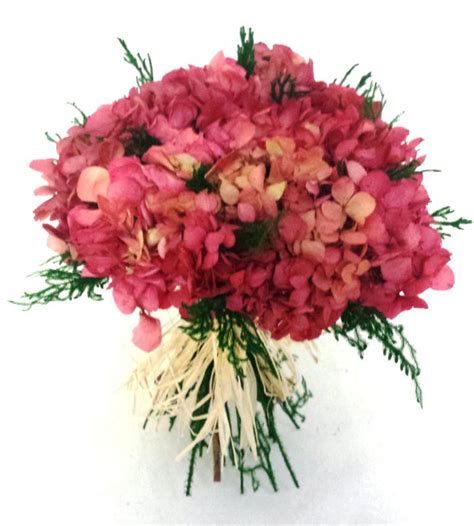 Como cuido mis hortensias #hortensia #hortensias. Ramo Hortensias Preservadas — Flores Frescas Online