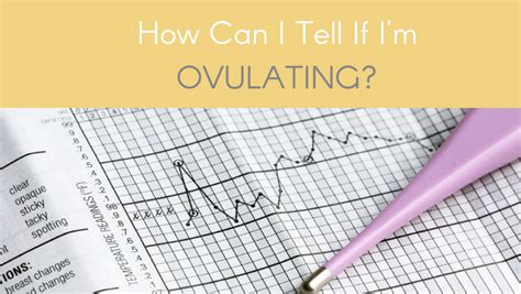 How Can I Tell If I’m Ovulating Kathy Payne