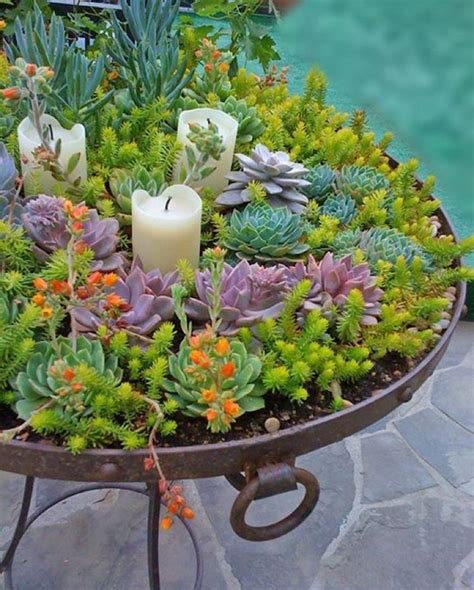 Succulent Table With Candles Succulents In Containers Cacti And