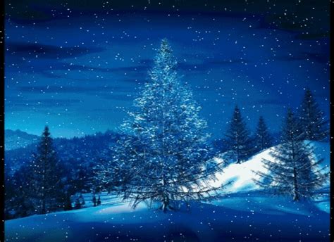 A Minute An Hour Christmas Tree  Blue Christmas Tree Winter Scenes