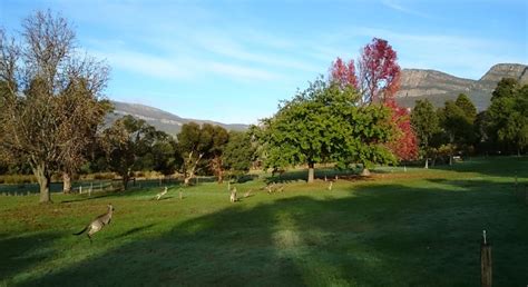 Sustainable and Eco-friendly parks in Vic | Lets Go Caravan and Camping