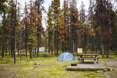 Complete Guide To Camping In Jasper National Park Updated