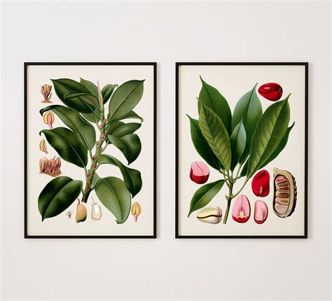 Two Tropical Botanical Prints Tropical Wall Art Set Of Two Etsy