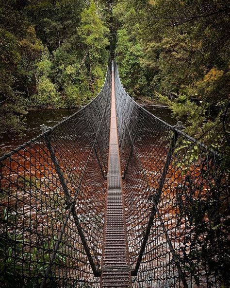 discover tasmania on instagram “savouring the sweet smelling cool isolation of the tasmanian