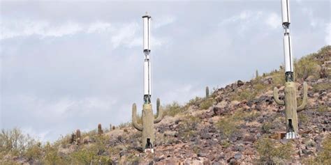 All cactus are green and have spines on them. This Cactus Has Great Reception: Cell Phone Tower Designs