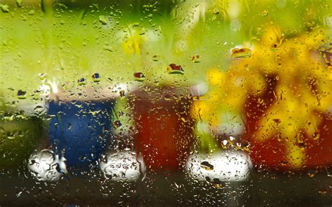 Raindrops Full Hd Wallpaper And Background Image