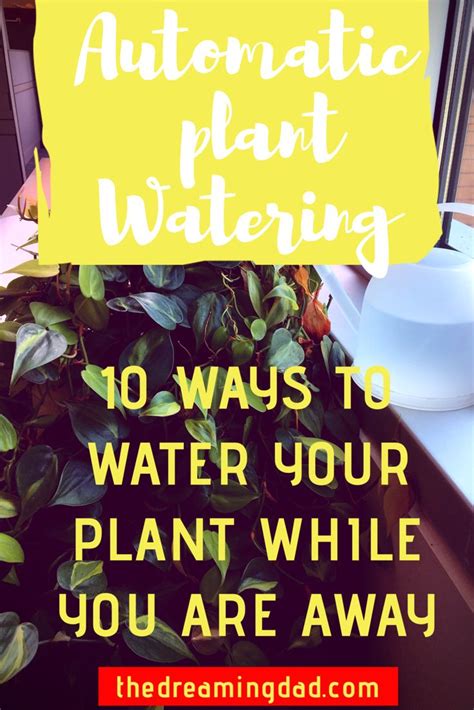 Ways To Automatically Water Your Plants While You Are Away Water