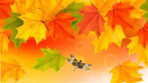 69 Fall Colors Background On Wallpapersafari