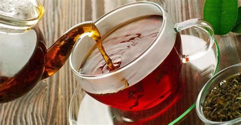 Rooibos 101 Surprising Things You Might Not Know About This National