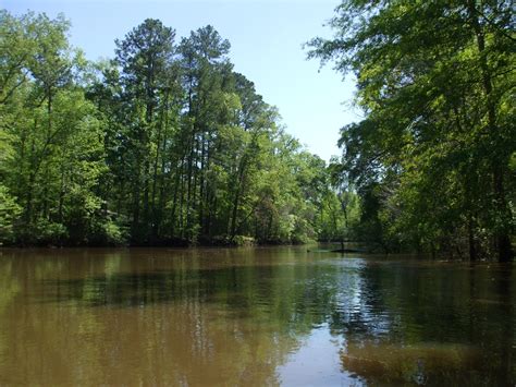 Neches River Texas Rivers Protection Association