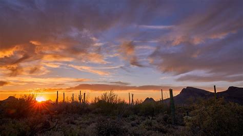 161 Stunning Photos Of Tucson Sunsets Outdoors And Events