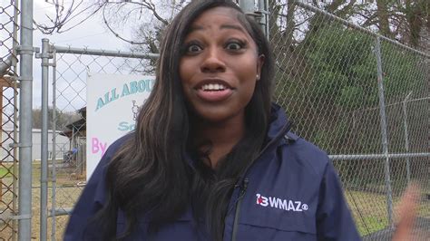 Ways to protect your pet during New Years celebrations | 13wmaz.com