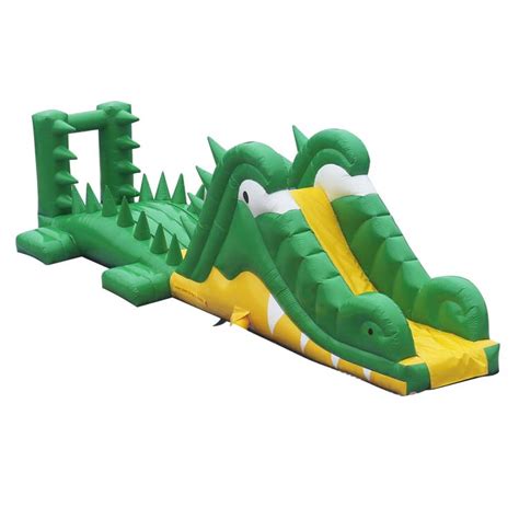 Water Slides Flws A20043