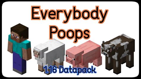 Everybody Poops 116 Minecraft Datapack Youtube