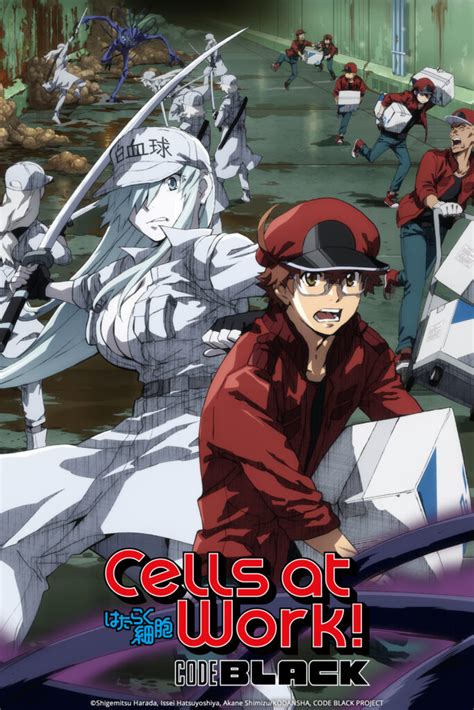 Cells At Work Japanese Name