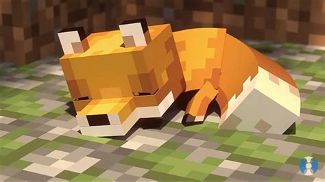 🔥 18 Minecraft Animals Wallpapers Wallpapersafari