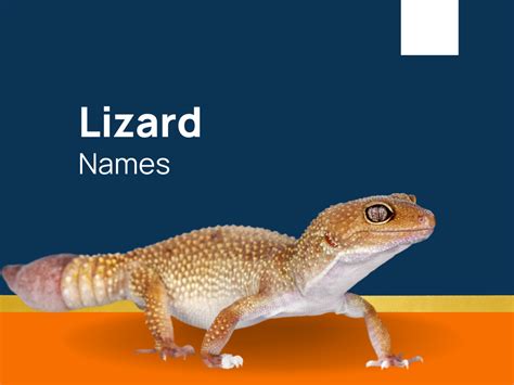 1432 Lizard Names For Reptilian Awesomeness Generator