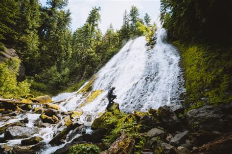 Exactly How To Reach Diamond Creek Falls Hike See The Most Beautiful