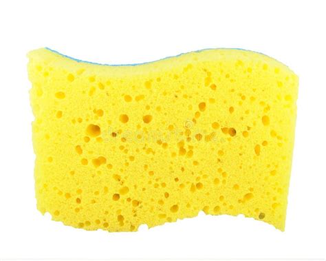 Bath Sponge Stock Photo Image Of Health Cleaner Cleanse 11329810