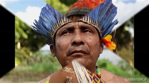 Índios Do Alto Xingu E TapajÓs Youtube