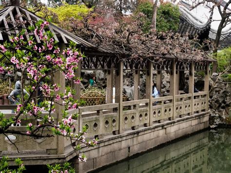 Lion Grove Garden A Classical Chinese Garden And Part Of Unesco World