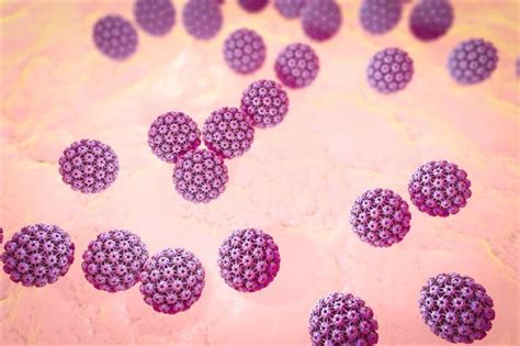 Hpv As An Sti How It Spreads The Risk Profiles Of The Virus