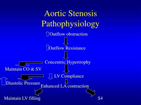 Ppt Aortic Stenosis Powerpoint Presentation Free Download Id 4501578