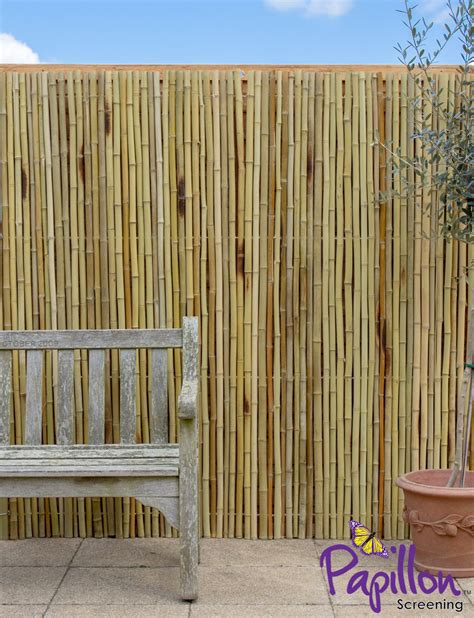 Garden outdoor privacy screen bamboo screening ideas — breakpr. Rouleau de Bambou Epais Blanc pour Clôtures 1.9m x H1.8m ...
