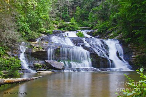 Panther Creek Falls Photograph By Barbara Bowen Fine Art America