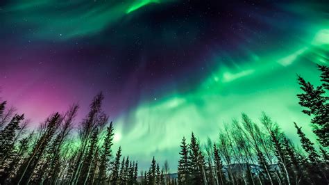 Northern lights: Best places to see the aurora borealis