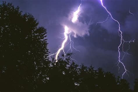 Lightning Strike On Forest During Night Time · Free Stock Photo