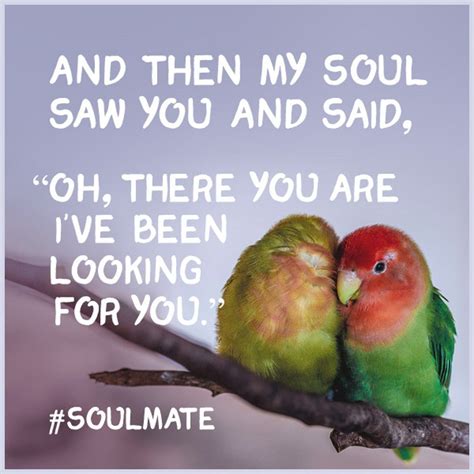 #soulmate | Meeting your soulmate, Soulmate, Find quotes