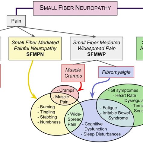 Small Fiber Neuropathy Symptom Clusters And Neuropathy Classifications