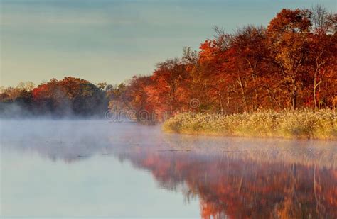 Fog Over River In Forest In The Autumn Stock Photo Image Of Mirror