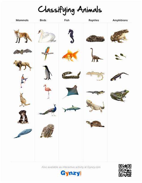 50 Animal Classification Worksheet Pdf