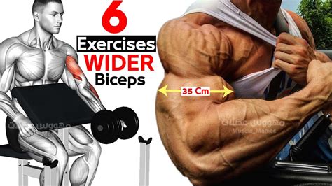 6 Exercises For Wider Biceps Effective 🧨 Youtube
