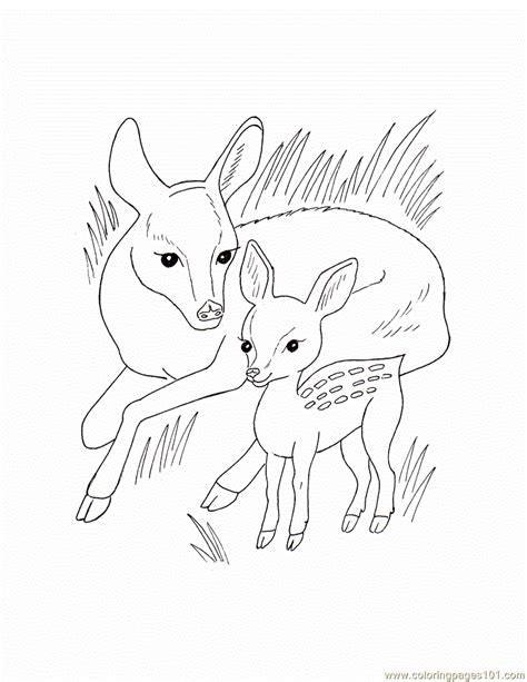 Here are lots of free pages to color all about north american wildlife. Wild animal Coloring Page - Free Wild Animals Coloring ...