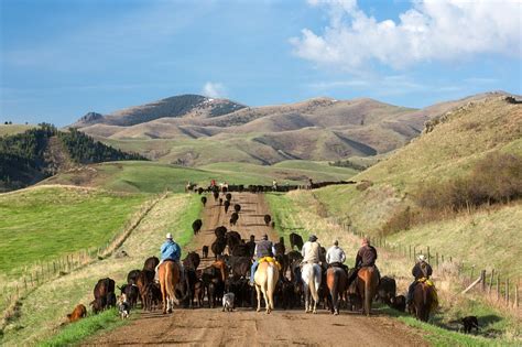 Todd Klassy Photography Clear Creek Cattle Drive Photos