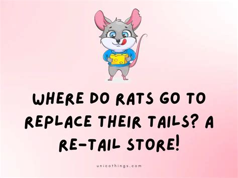 55 Rat Puns That Will Crack A Smile On Your Face 2024