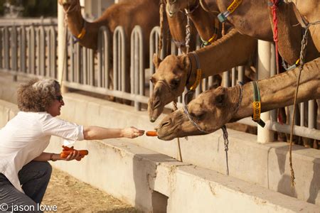 Camel's hump state park is located in vermont. camel milk : anissa's blog