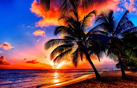 Tropical Sunrise Wallpapers Top Hình Ảnh Đẹp