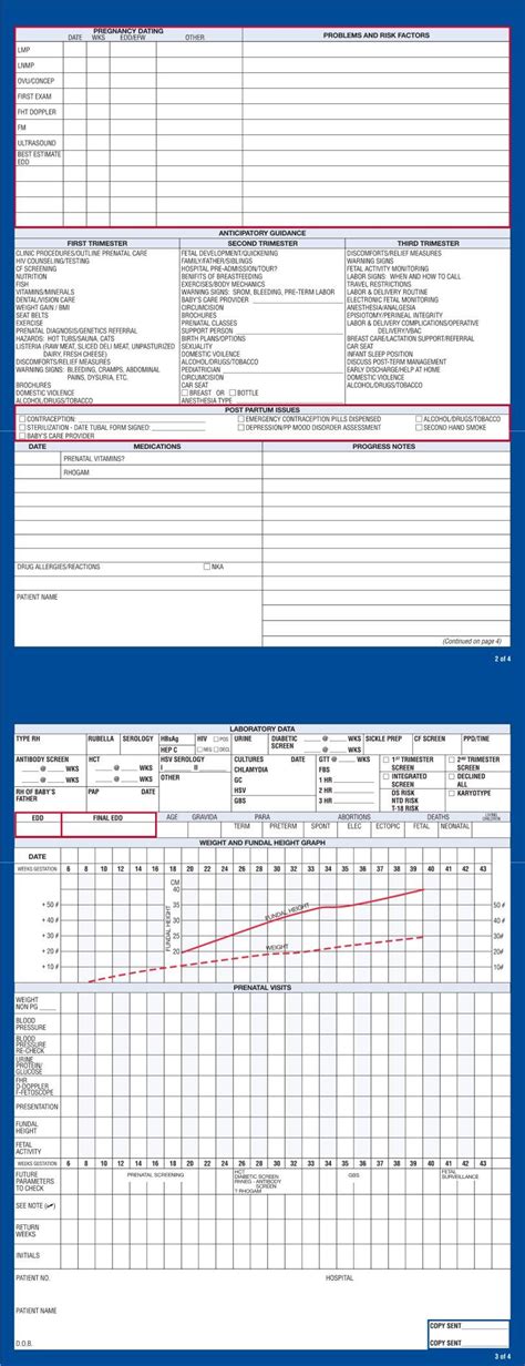 Prenatal Record Form ≡ Fill Out Printable Pdf Forms Online
