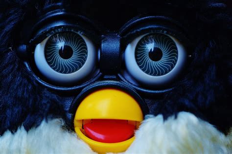 Furby Cute Blue Eyes Stuffed Free Photo On Pixabay Pixabay