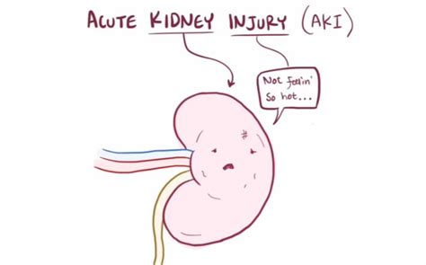 【搬运osmosis（英文繁体）】prerenal Acute Kidney Injury Acute Renal Failure哔哩