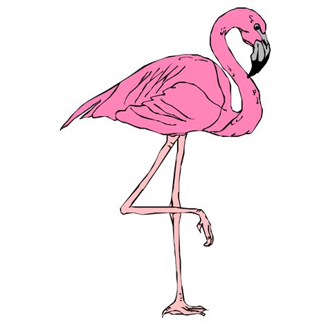 Pink Flamingo Png Svg Clip Art For Web Download Clip Art Png Icon Arts