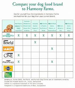 Dog Feeding Chart Printable Customize And Print