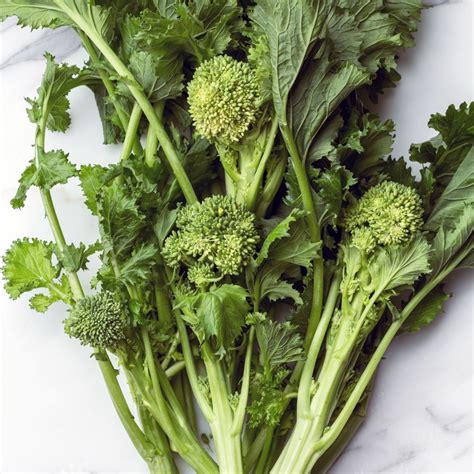 Why Is Broccoli Rabe Bitter And How To Remove The Bitterness Foodiosity