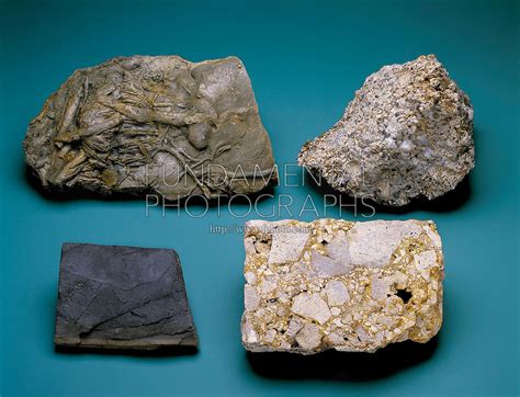 Sedimentary Rock Mineral Science Fundamental Photographs The Art Of