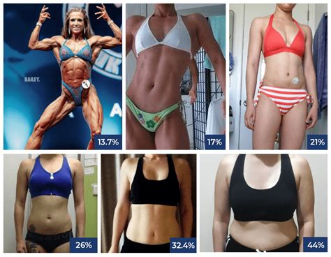 Body Fat Percentage Pictures Female