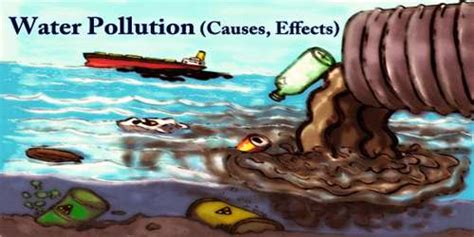 Water Pollution Causes Effects Assignment Point